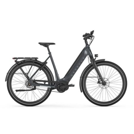 Gazelle Ultimate T10 HMB - 625 Wh - 2024 - 28 Zoll - Diamant