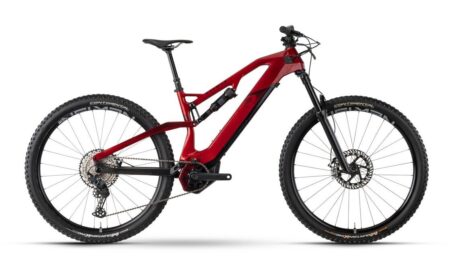 Raymon AirRay 10.0 - 500 Wh - 29 Zoll - Fully