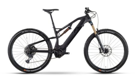 Raymon FullRay 150E 11.0 - 630 Wh - 29 Zoll - Fully