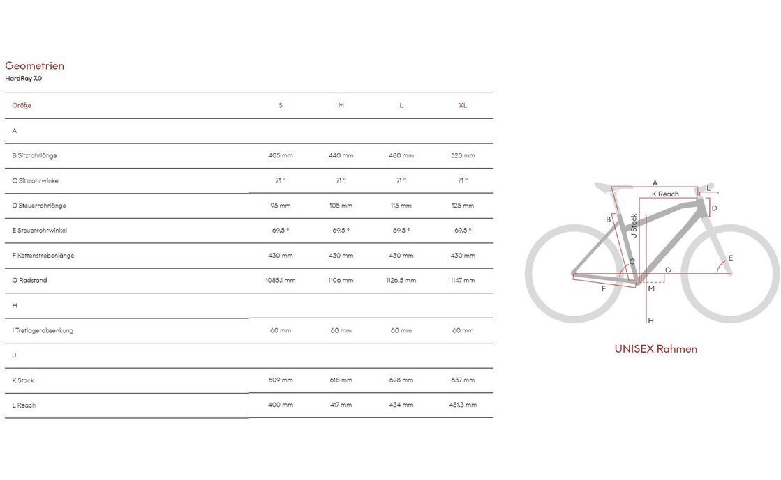 Raymon HardRay 7.0 - 29 Zoll - Diamant - 2024 – Bild 2