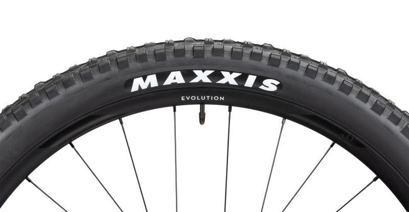 Radon Swoop 10.0 – Bild 2