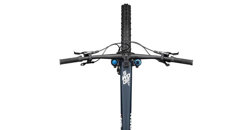 Radon Swoop 10.0 – Bild 3