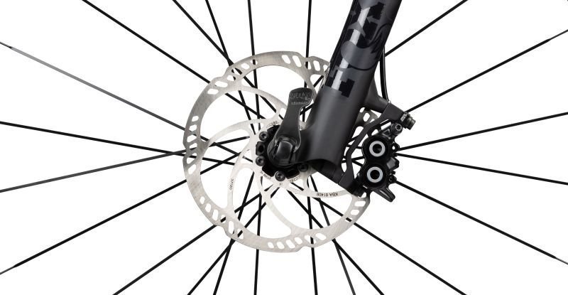 Radon JEALOUS 8.0 – Bild 3